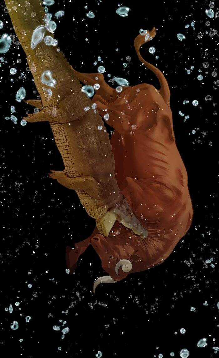 Anh Hùng Yếu - Chapter 224 - Trang 83