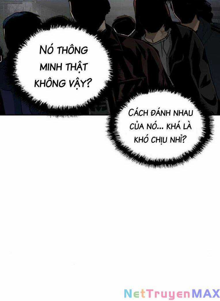 Anh Hùng Yếu - Chapter 252 - Trang 55
