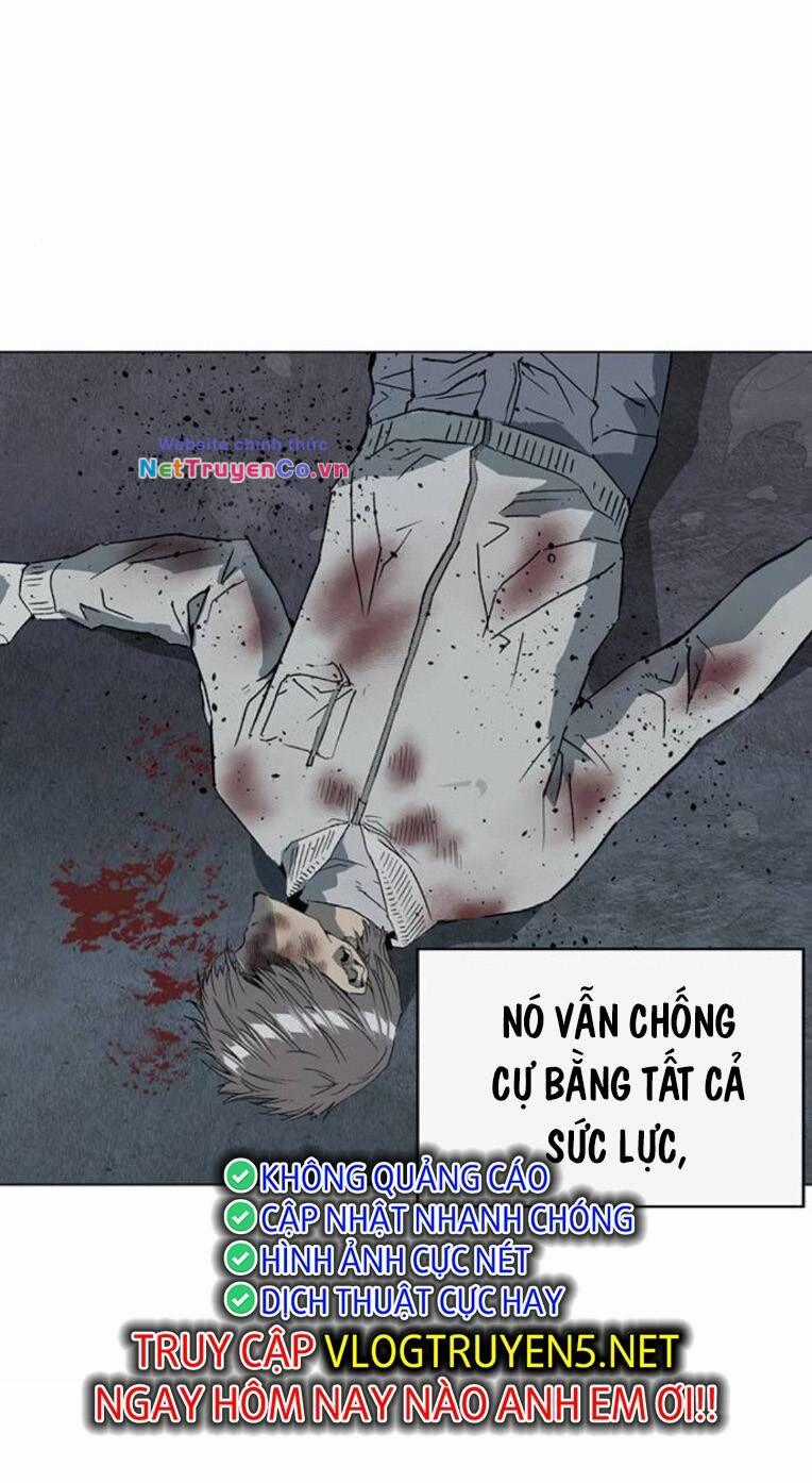 Anh Hùng Yếu - Chapter 254 - Trang 94