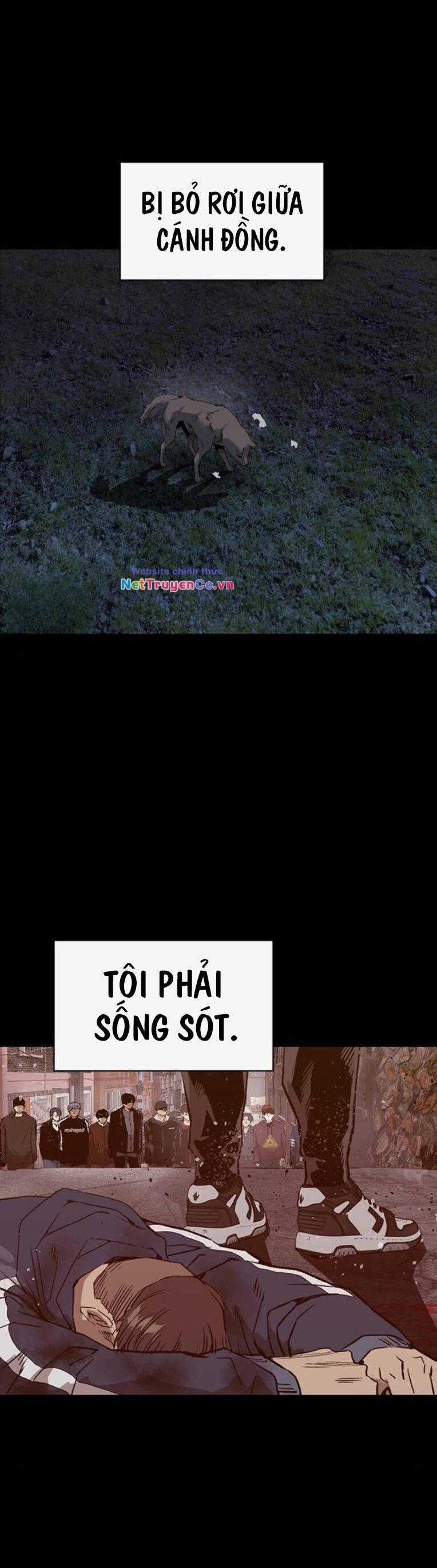 Anh Hùng Yếu - Chapter 257 - Trang 2