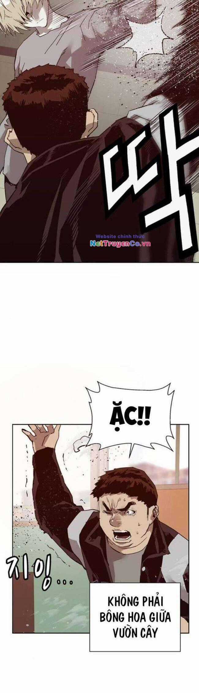 Anh Hùng Yếu - Chapter 260 - Trang 4