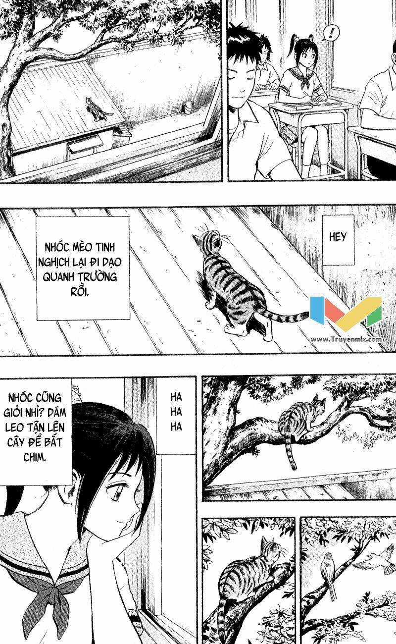 Animal Sense - Chapter 1 - Trang 13