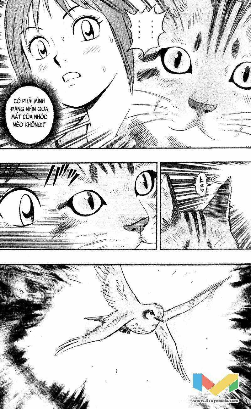 Animal Sense - Chapter 1 - Trang 16