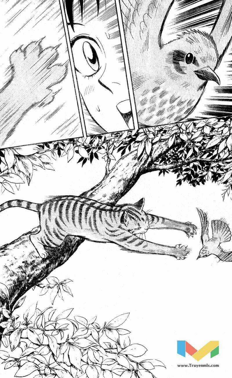 Animal Sense - Chapter 1 - Trang 17