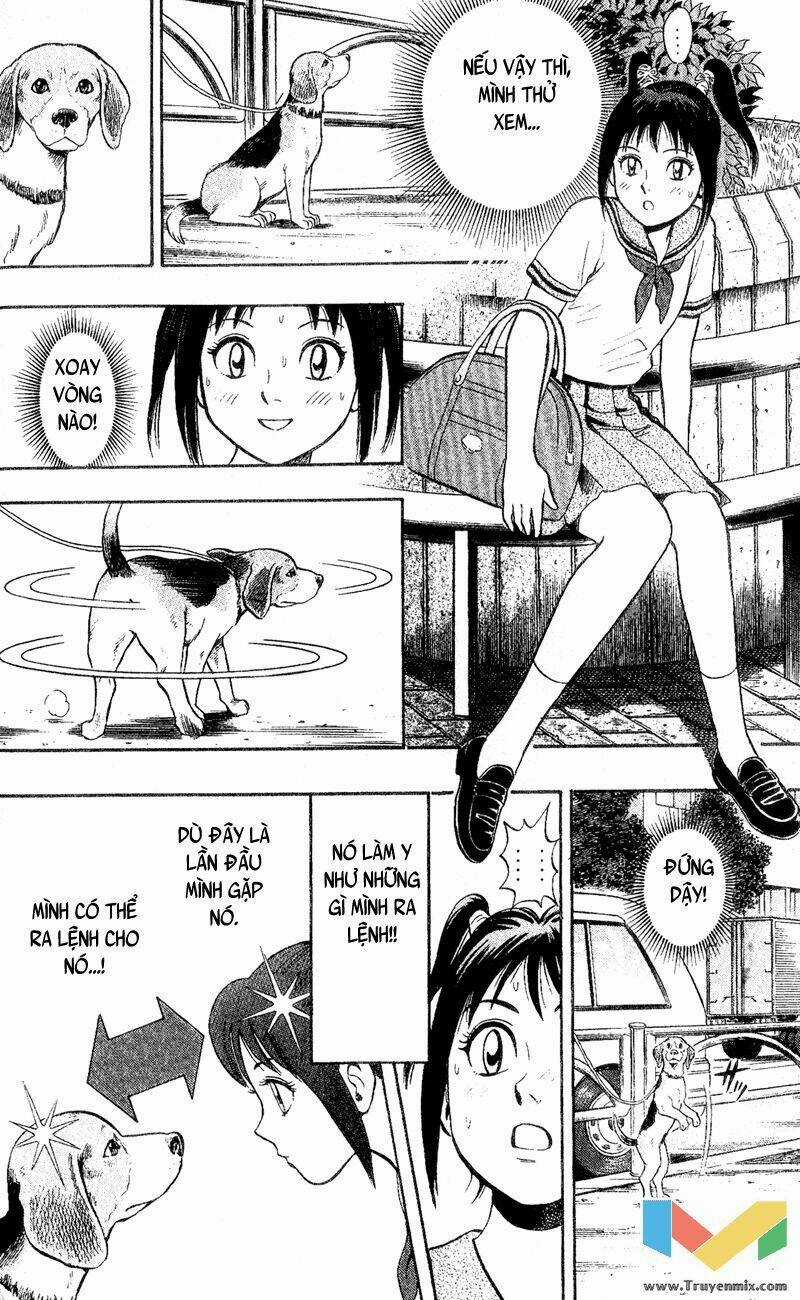 Animal Sense - Chapter 1 - Trang 29