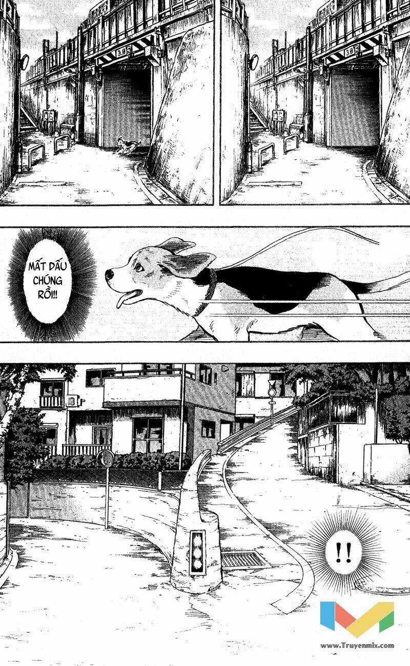 Animal Sense - Chapter 1 - Trang 41