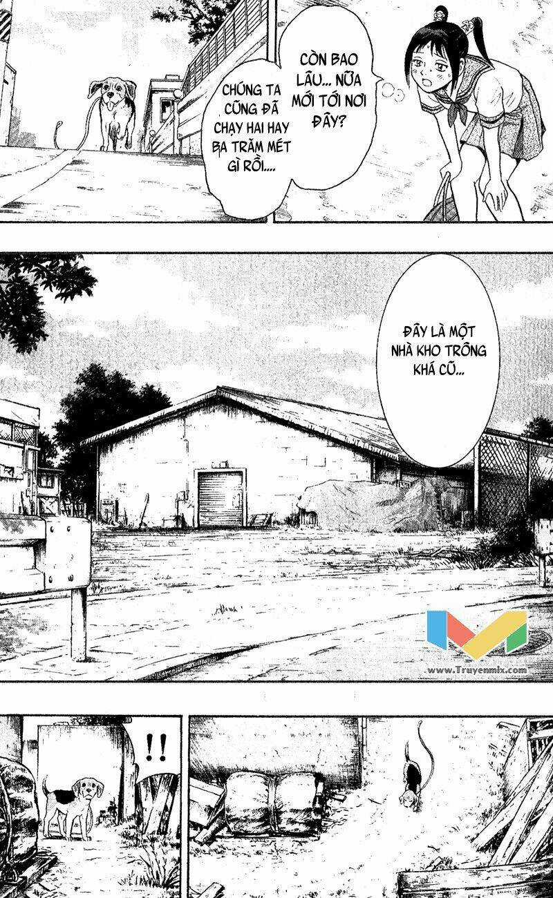 Animal Sense - Chapter 1 - Trang 44