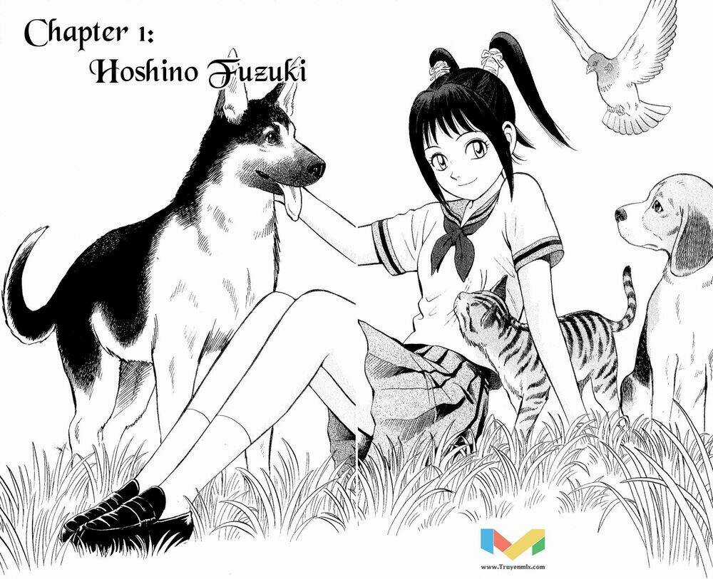 Animal Sense - Chapter 1 - Trang 10