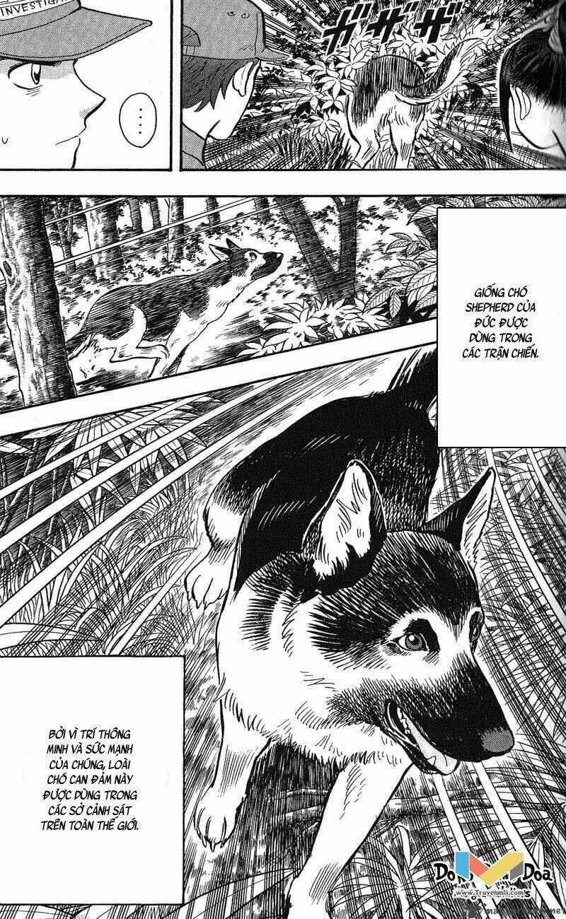 Animal Sense - Chapter 12 - Trang 19