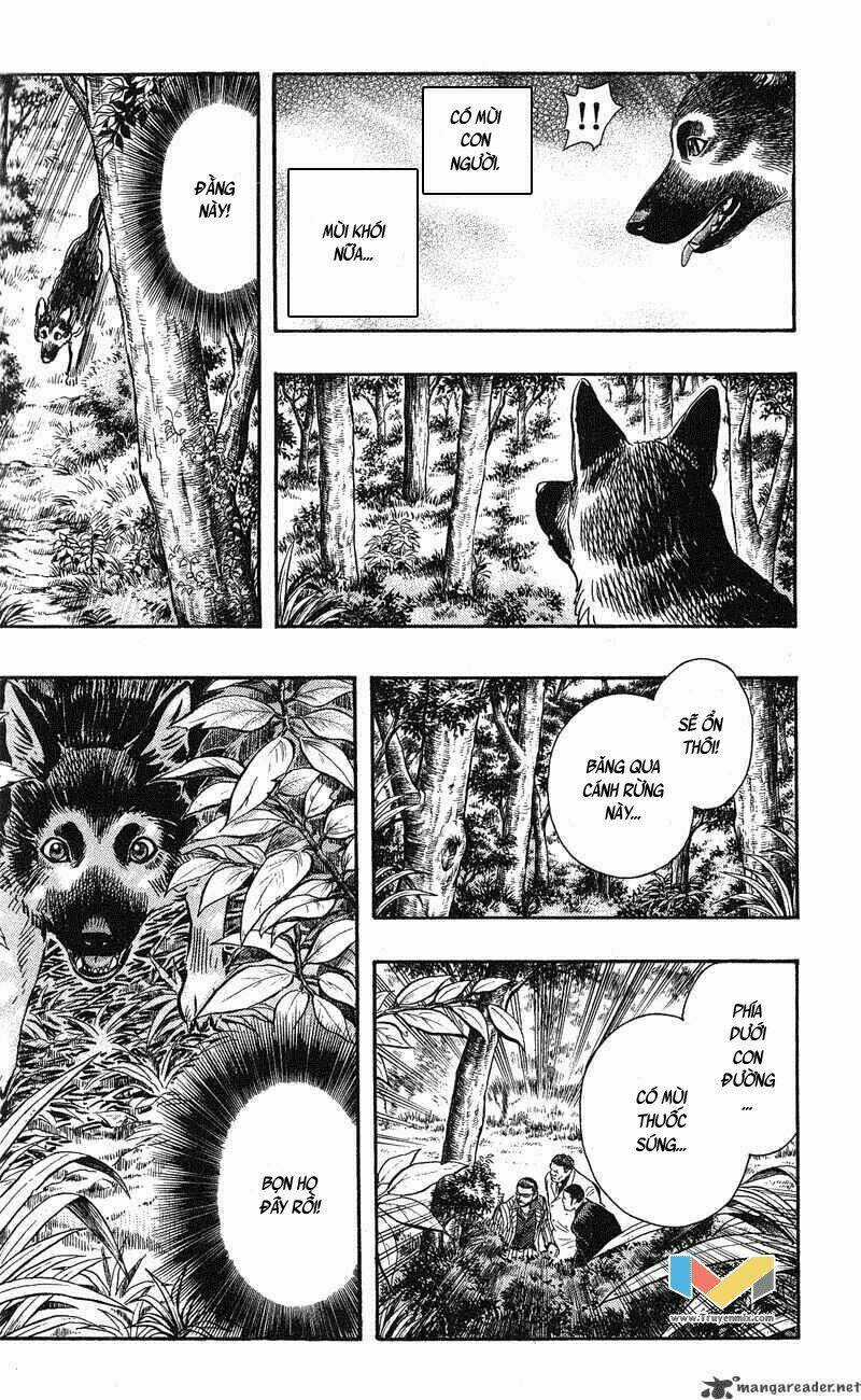 Animal Sense - Chapter 12 - Trang 22