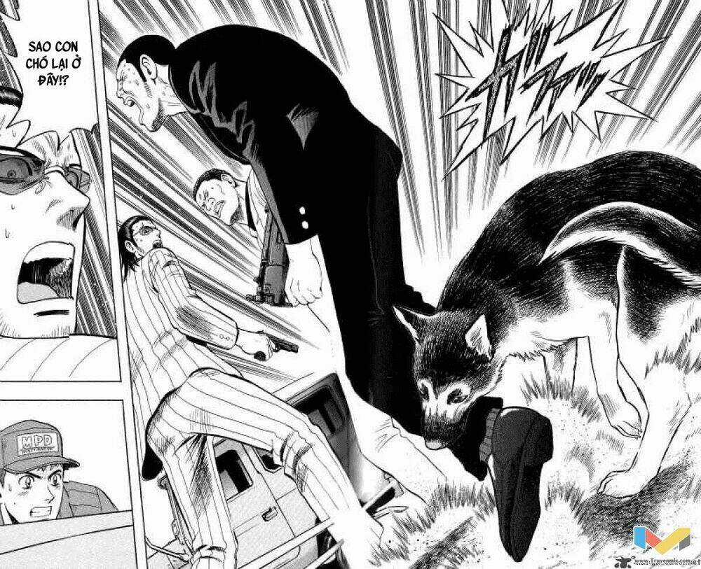 Animal Sense - Chapter 12 - Trang 27