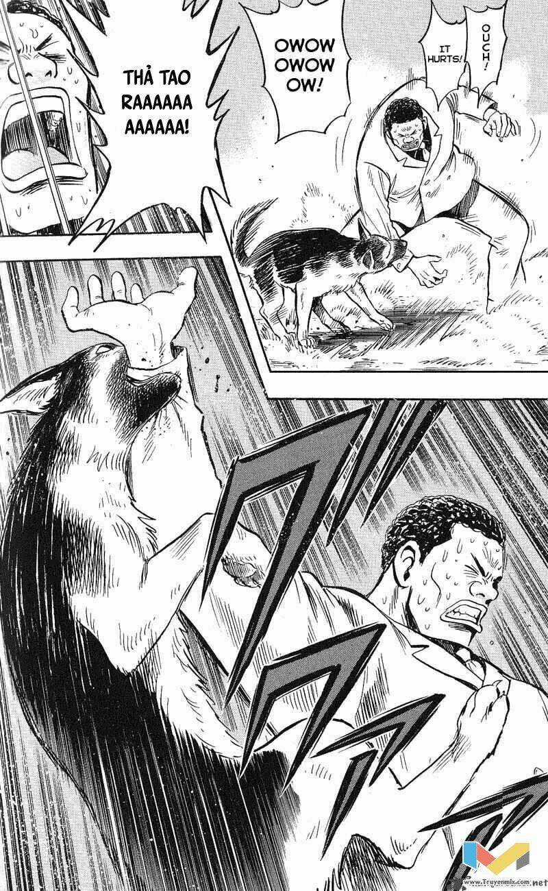 Animal Sense - Chapter 12 - Trang 32