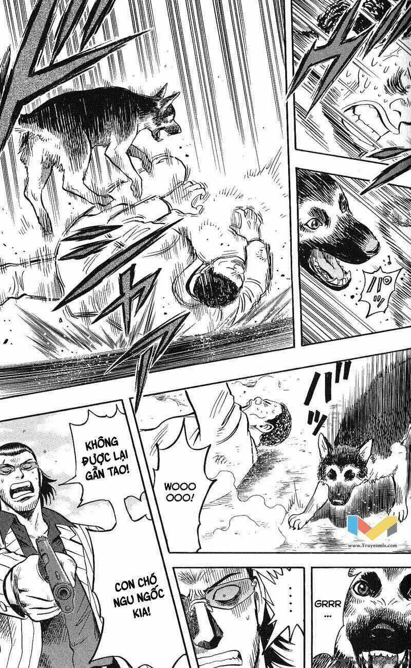 Animal Sense - Chapter 12 - Trang 33