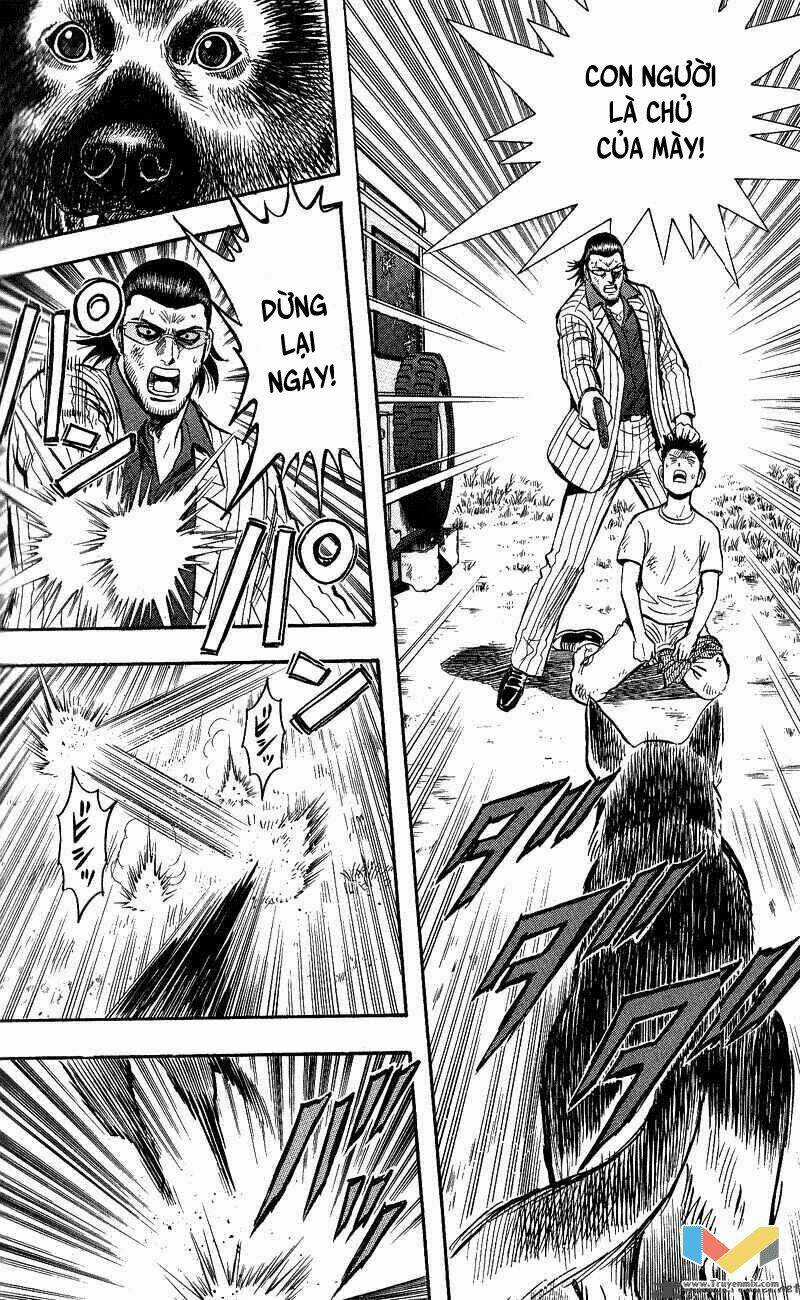 Animal Sense - Chapter 13 - Trang 18