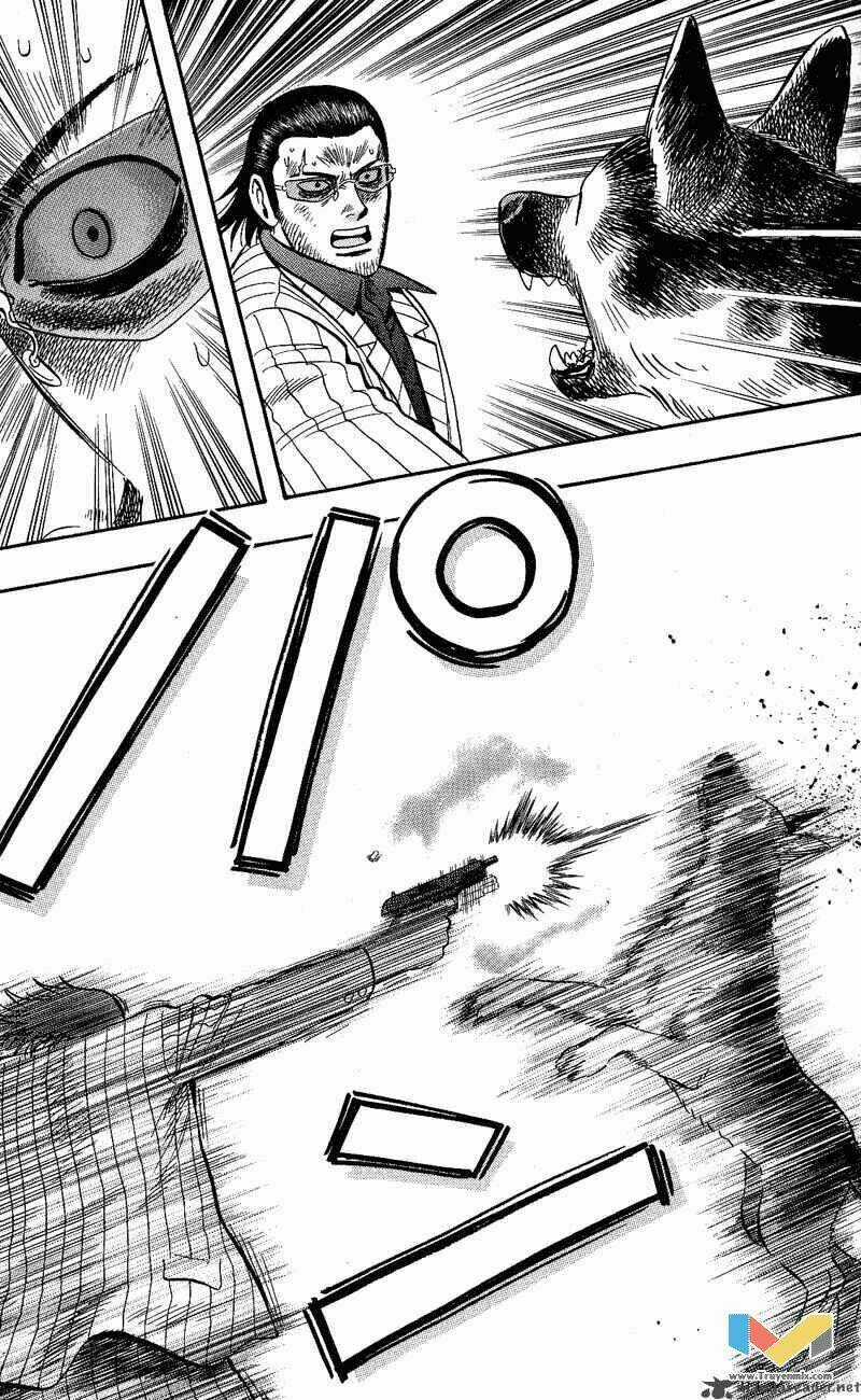 Animal Sense - Chapter 13 - Trang 19