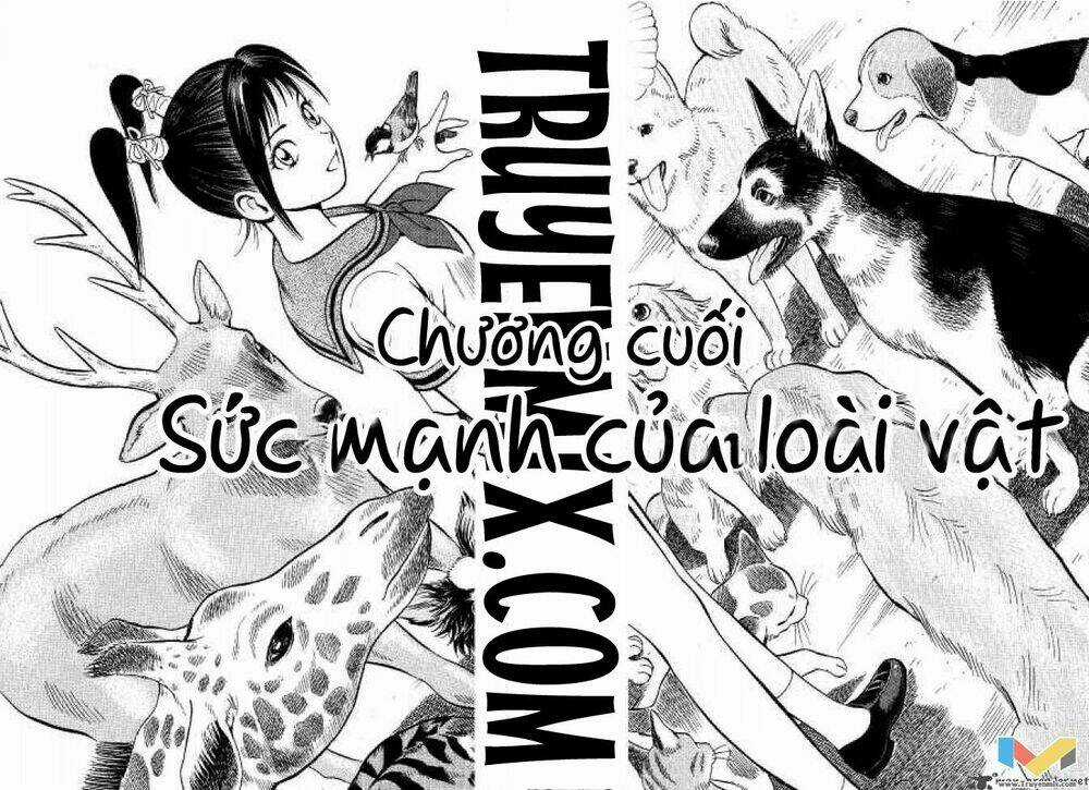 Animal Sense - Chapter 13 - Trang 3