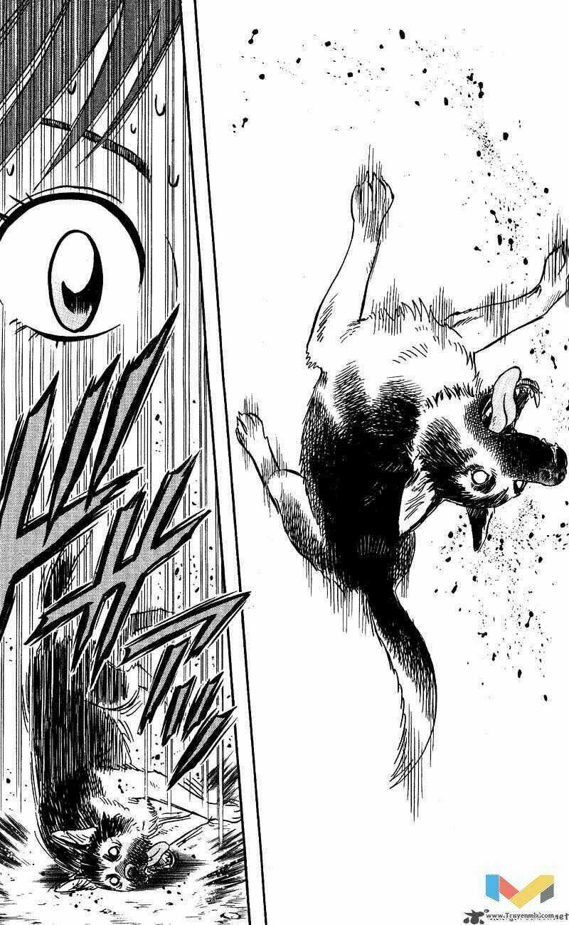 Animal Sense - Chapter 13 - Trang 21