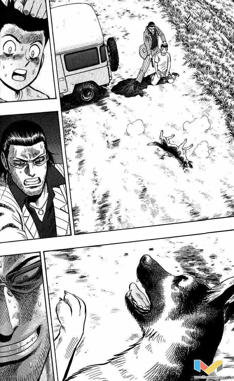 Animal Sense - Chapter 13 - Trang 22