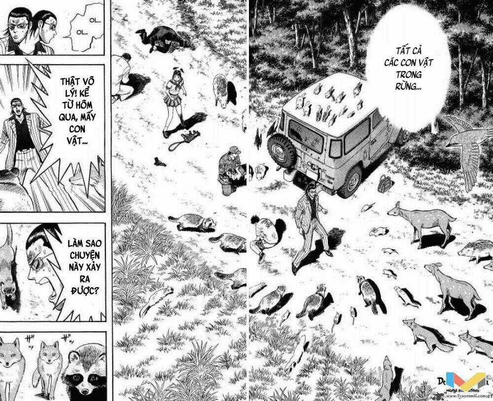 Animal Sense - Chapter 13 - Trang 30