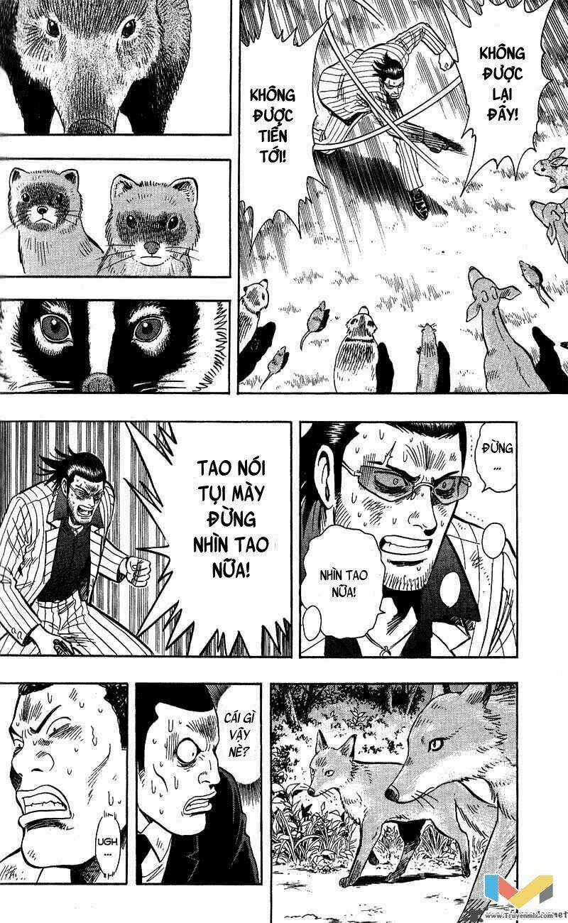 Animal Sense - Chapter 13 - Trang 31