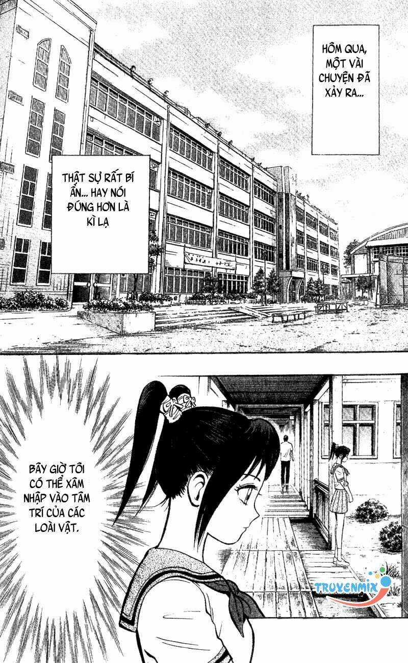 Animal Sense - Chapter 2 - Trang 4