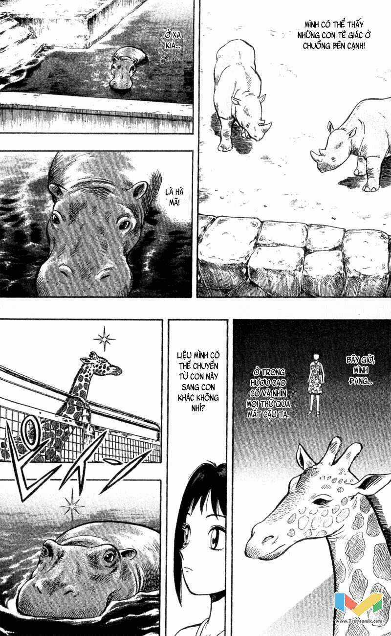 Animal Sense - Chapter 3 - Trang 18