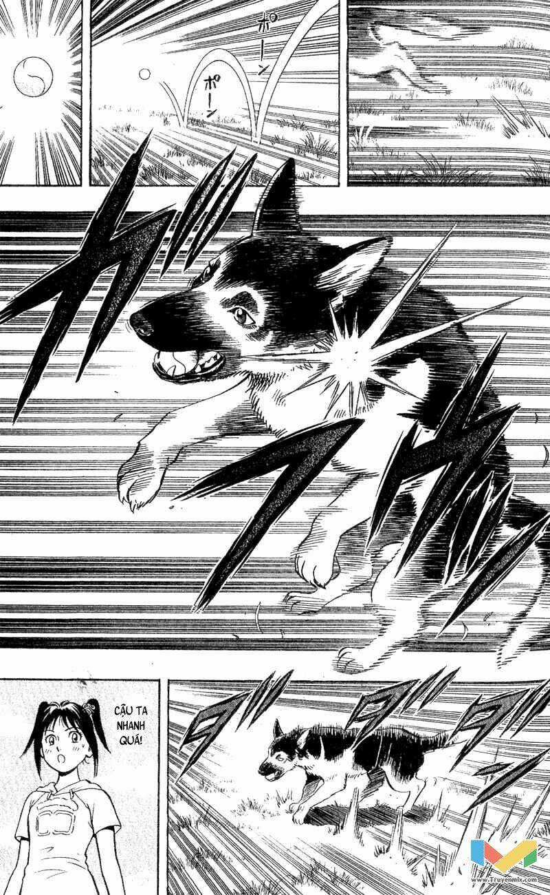 Animal Sense - Chapter 3 - Trang 35