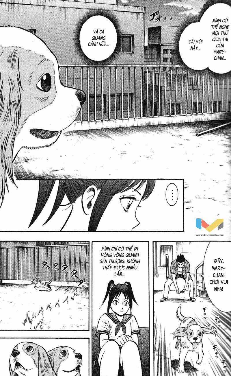 Animal Sense - Chapter 5 - Trang 22