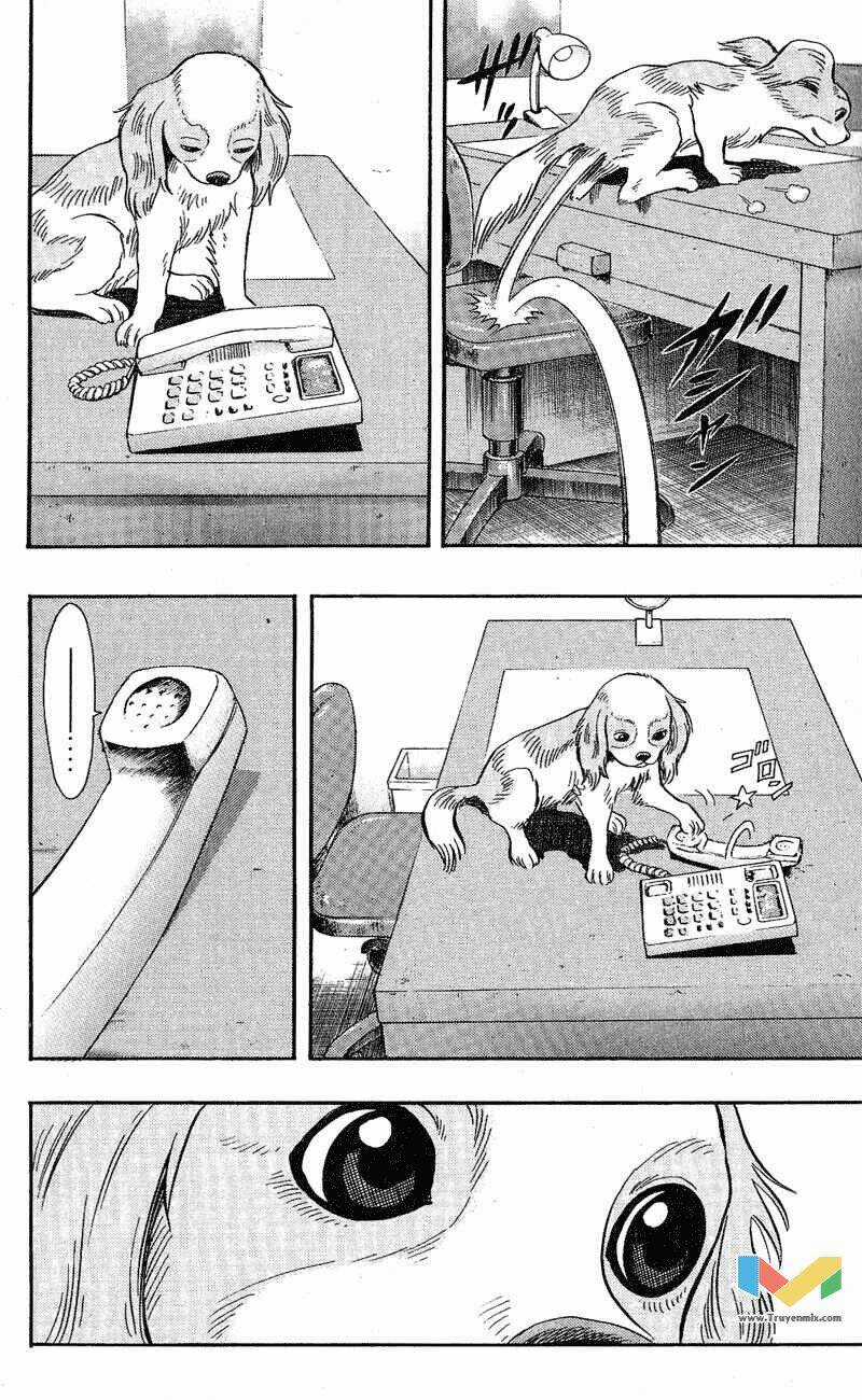 Animal Sense - Chapter 7 - Trang 18