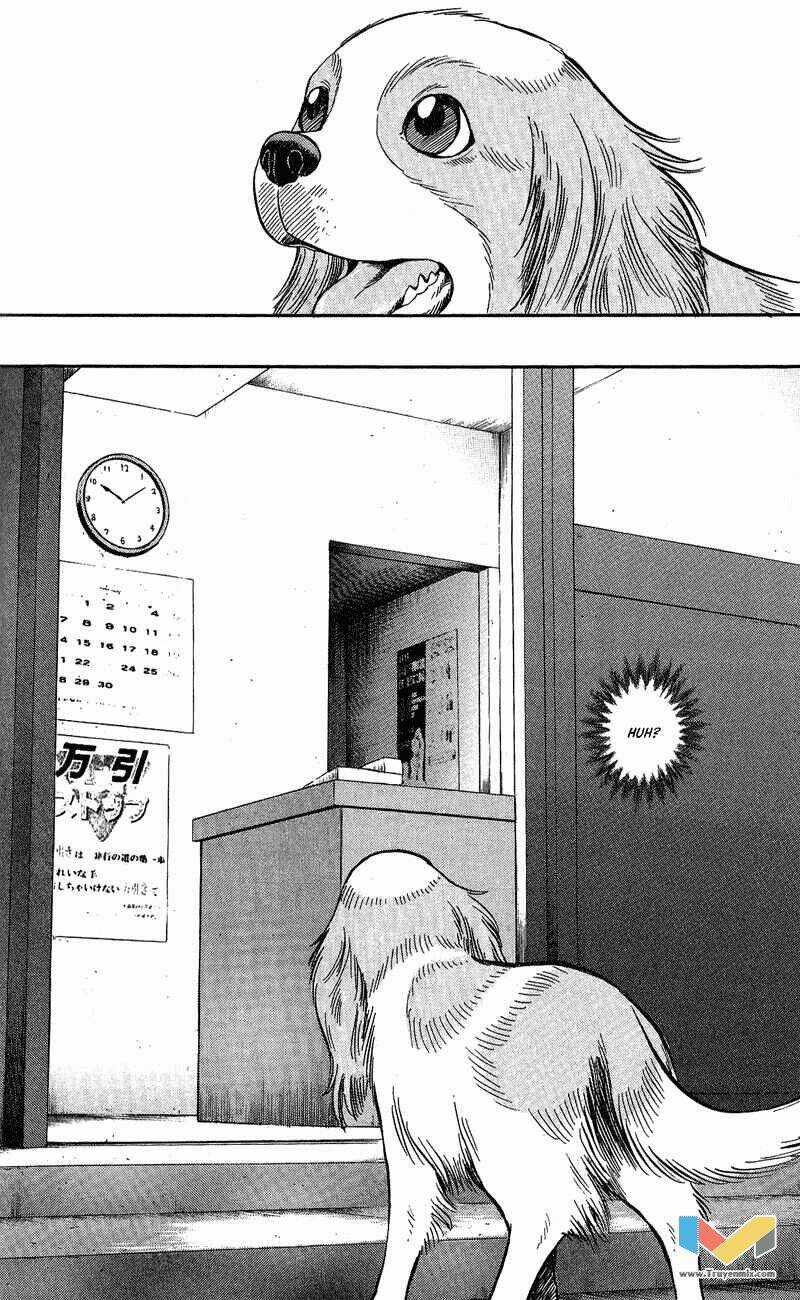 Animal Sense - Chapter 7 - Trang 7