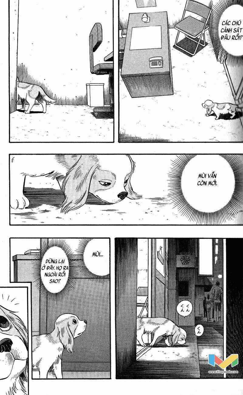 Animal Sense - Chapter 7 - Trang 8