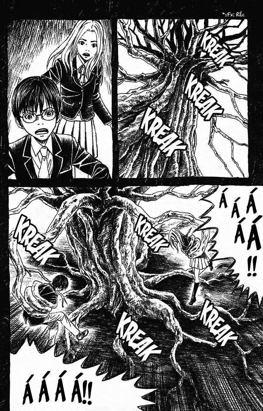 Ảo ảnh Picasso - Chapter 3 - Trang 24