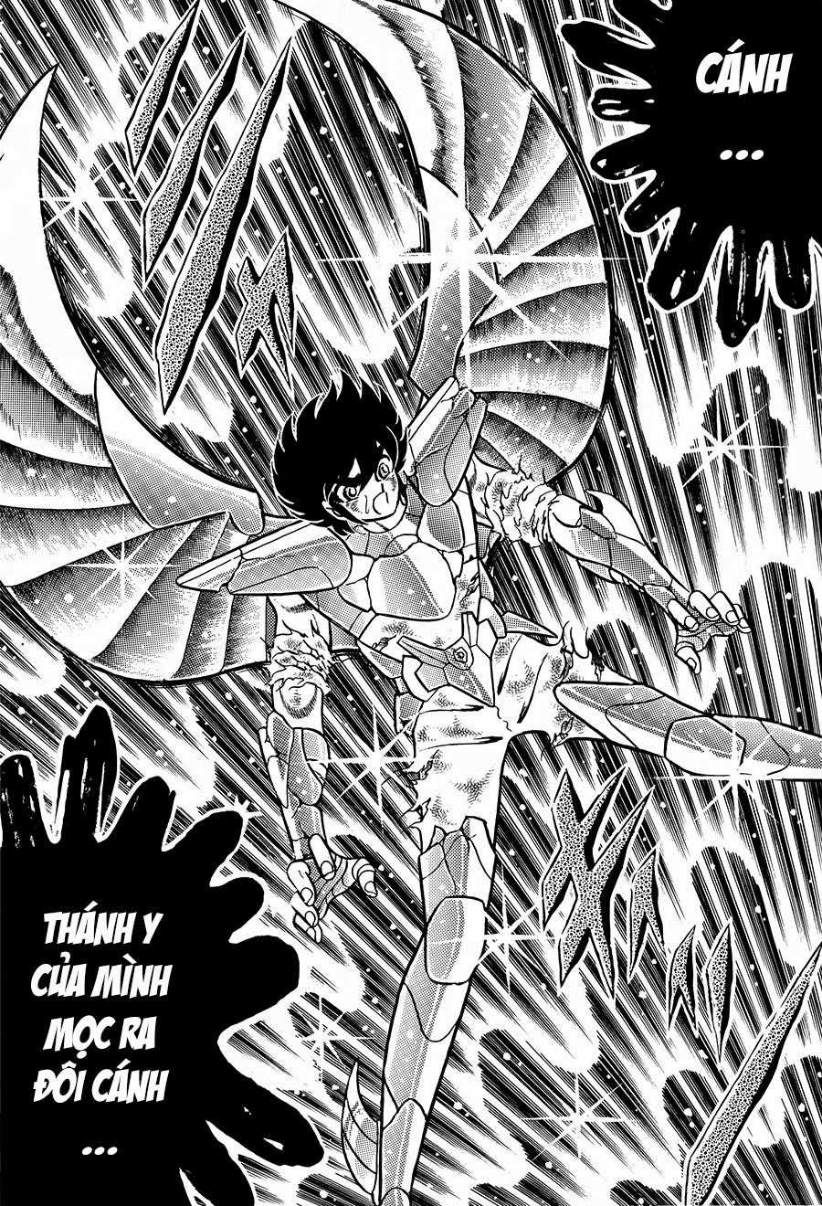 Áo Giáp Vàng - Chapter 100 - Trang 17