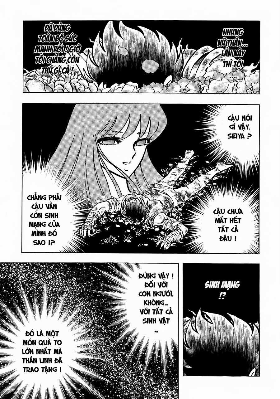 Áo Giáp Vàng - Chapter 106 - Trang 11