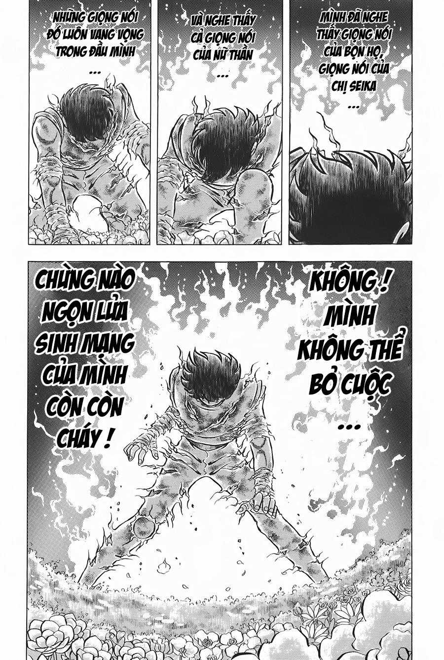 Áo Giáp Vàng - Chapter 106 - Trang 17