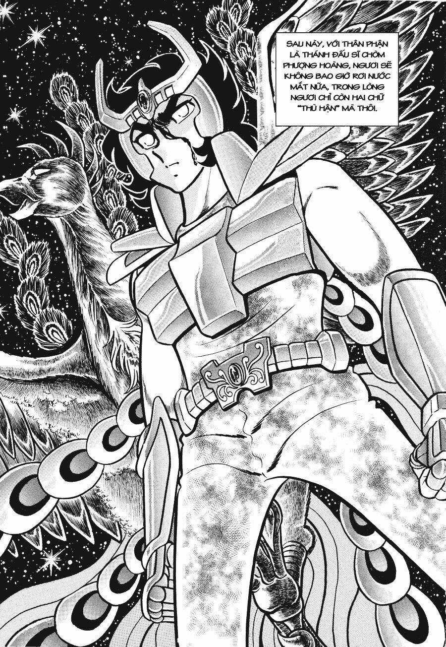 Áo Giáp Vàng - Chapter 17 - Trang 34