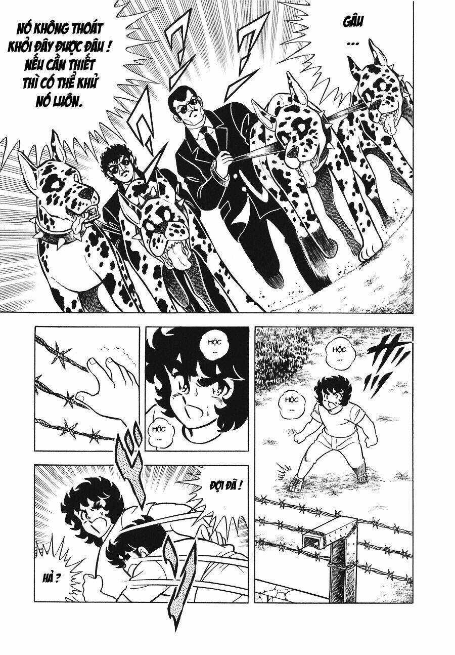 Áo Giáp Vàng - Chapter 19 - Trang 27