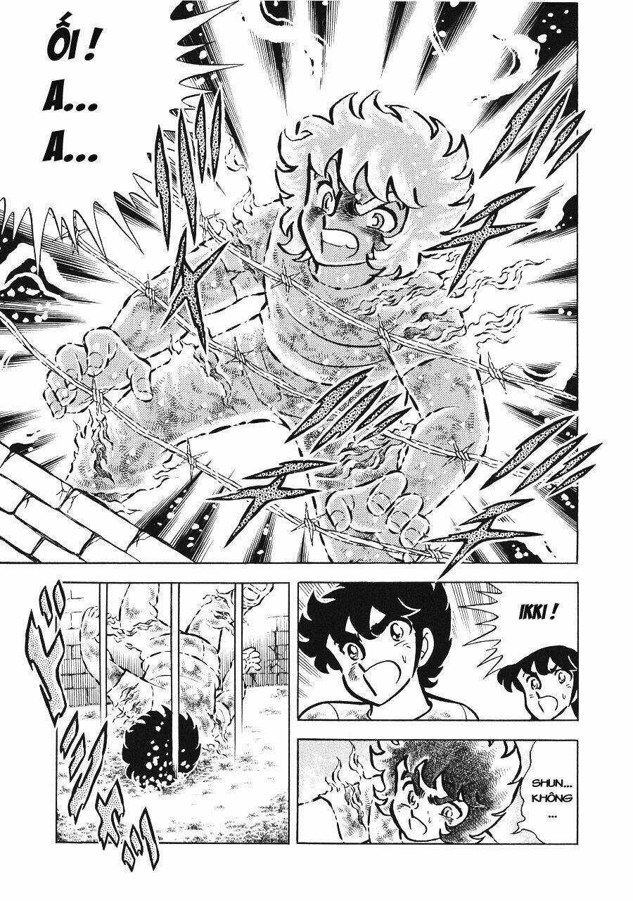 Áo Giáp Vàng - Chapter 19 - Trang 29