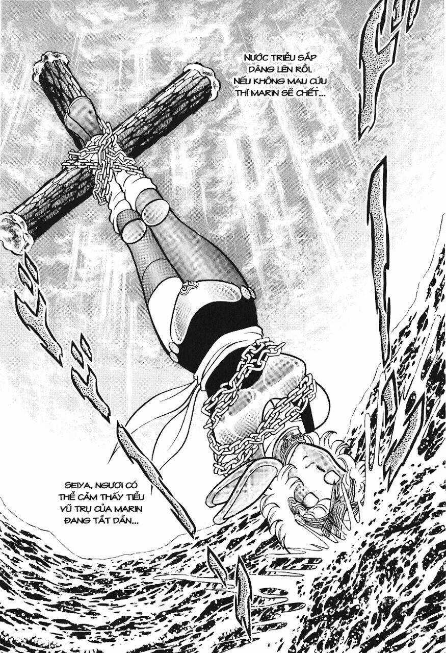 Áo Giáp Vàng - Chapter 23 - Trang 8