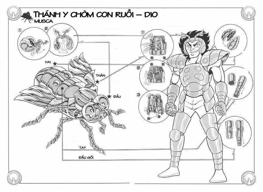 Áo Giáp Vàng - Chapter 28 - Trang 4