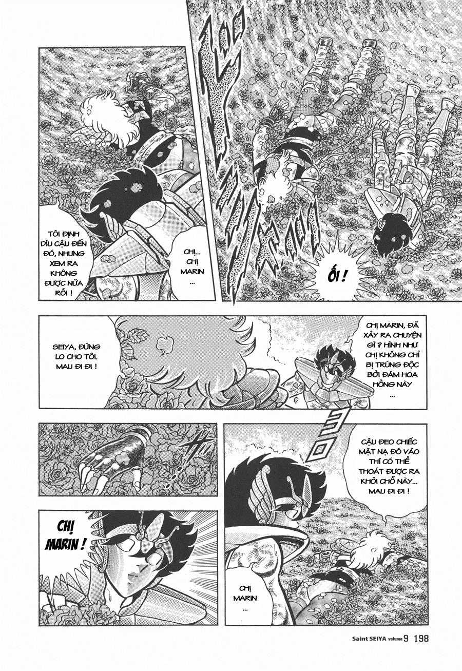 Áo Giáp Vàng - Chapter 44 - Trang 11