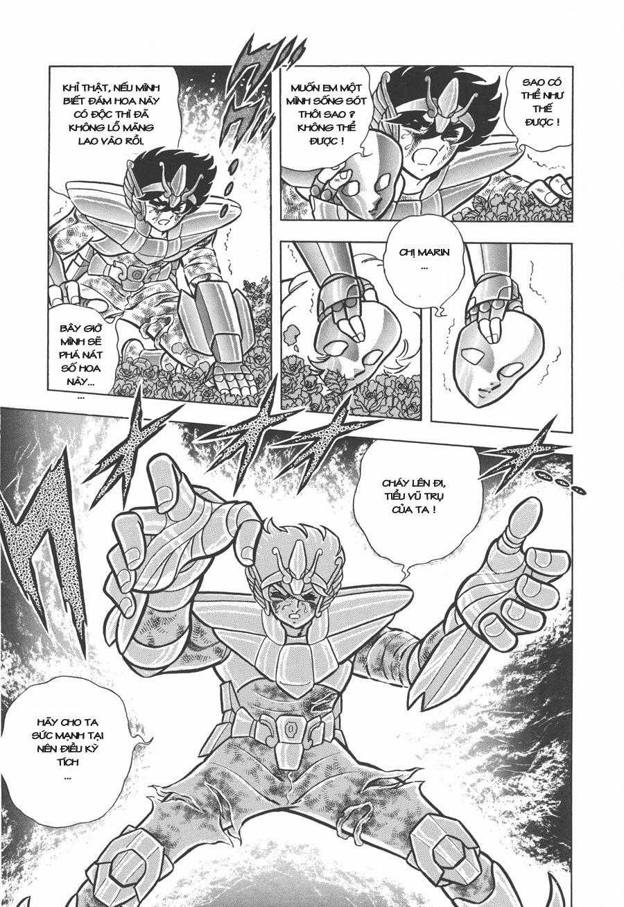 Áo Giáp Vàng - Chapter 44 - Trang 12