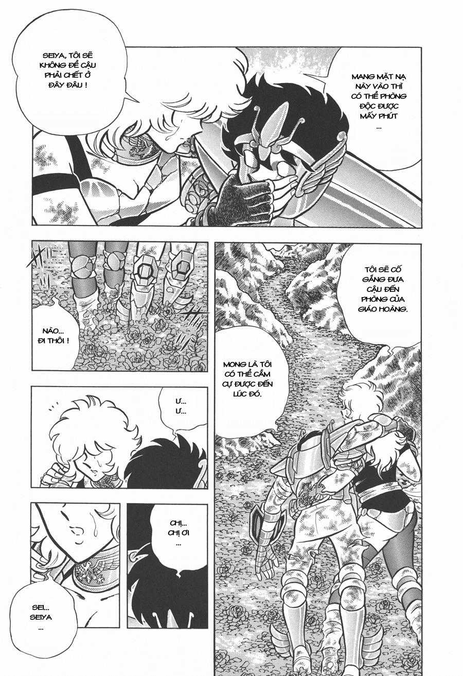 Áo Giáp Vàng - Chapter 44 - Trang 8