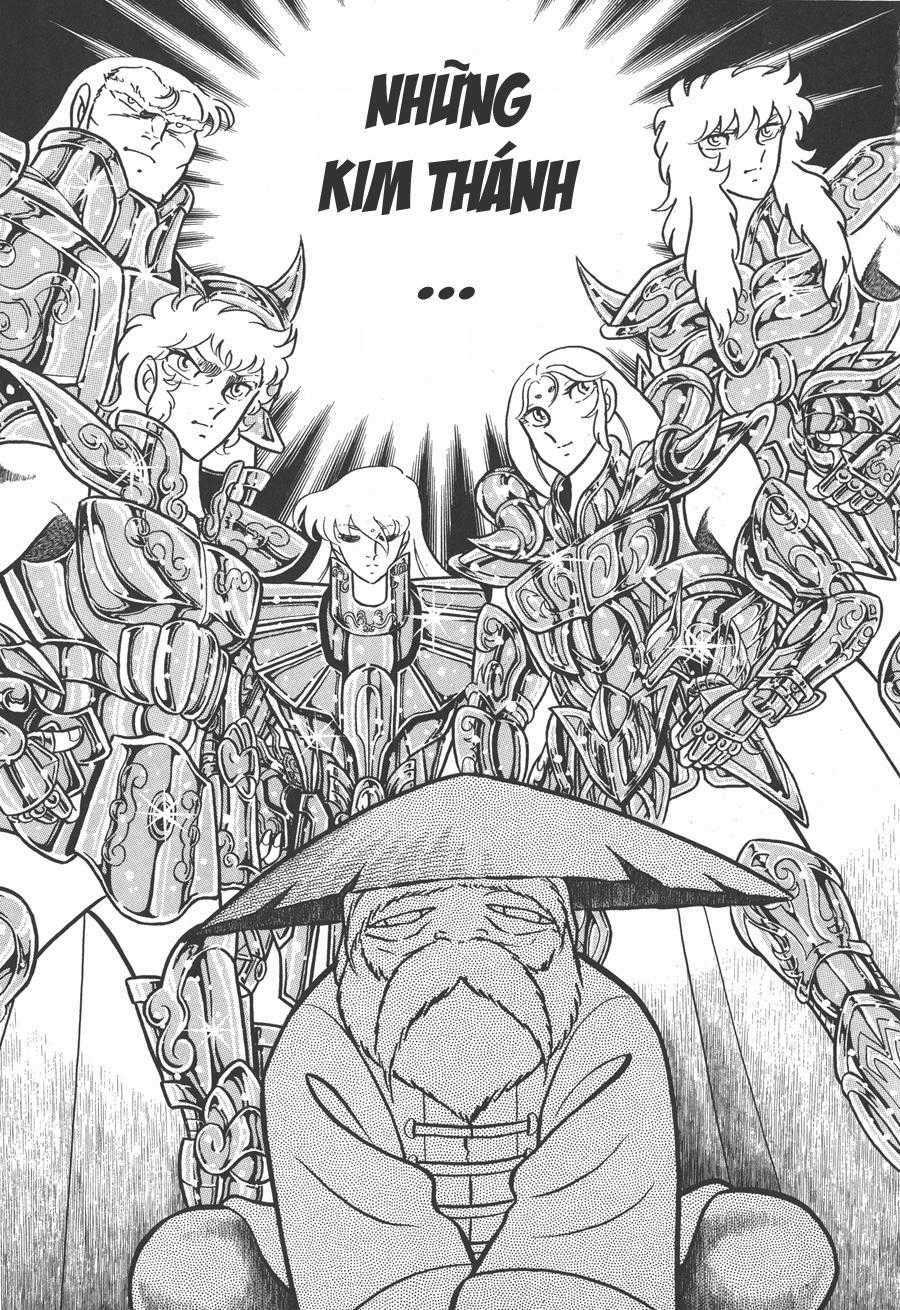 Áo Giáp Vàng - Chapter 51 - Trang 8