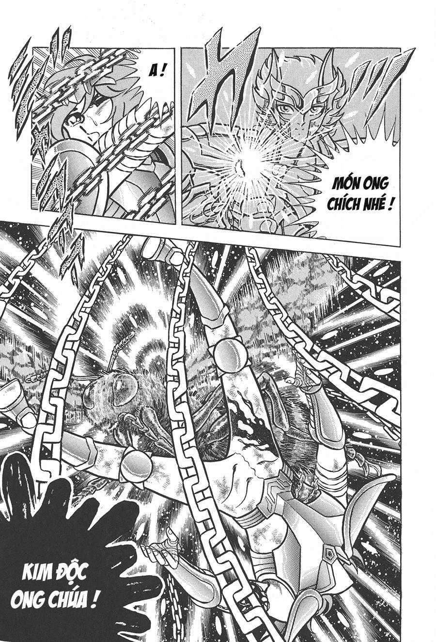 Áo Giáp Vàng - Chapter 53 - Trang 12