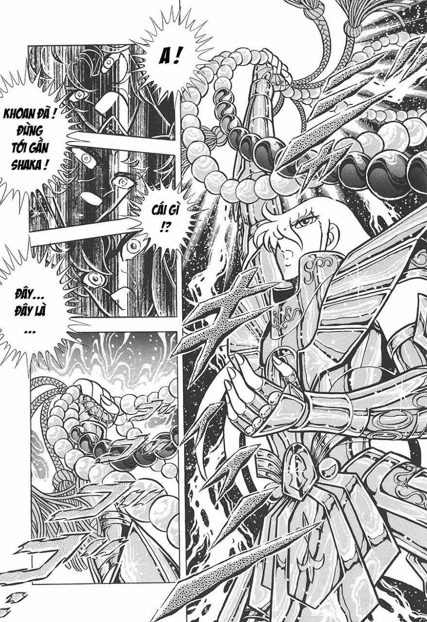 Áo Giáp Vàng - Chapter 77 - Trang 15