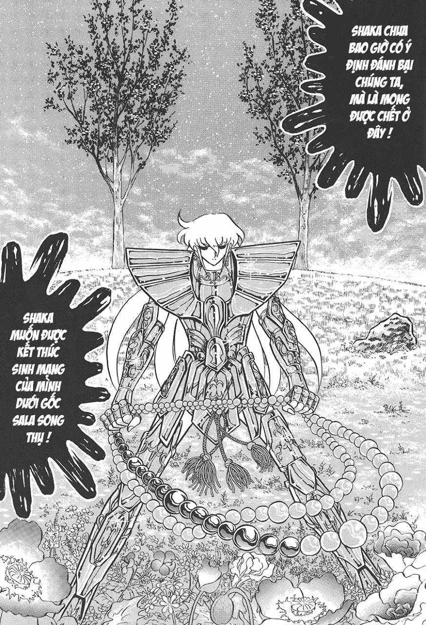 Áo Giáp Vàng - Chapter 77 - Trang 22