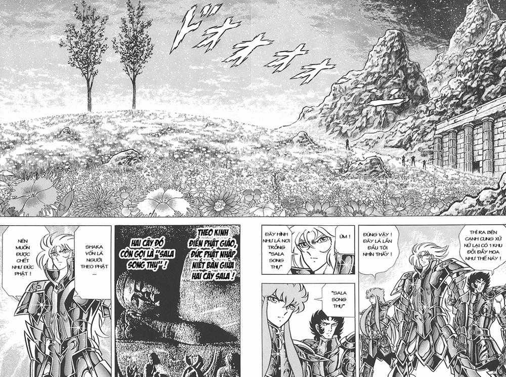 Áo Giáp Vàng - Chapter 77 - Trang 8