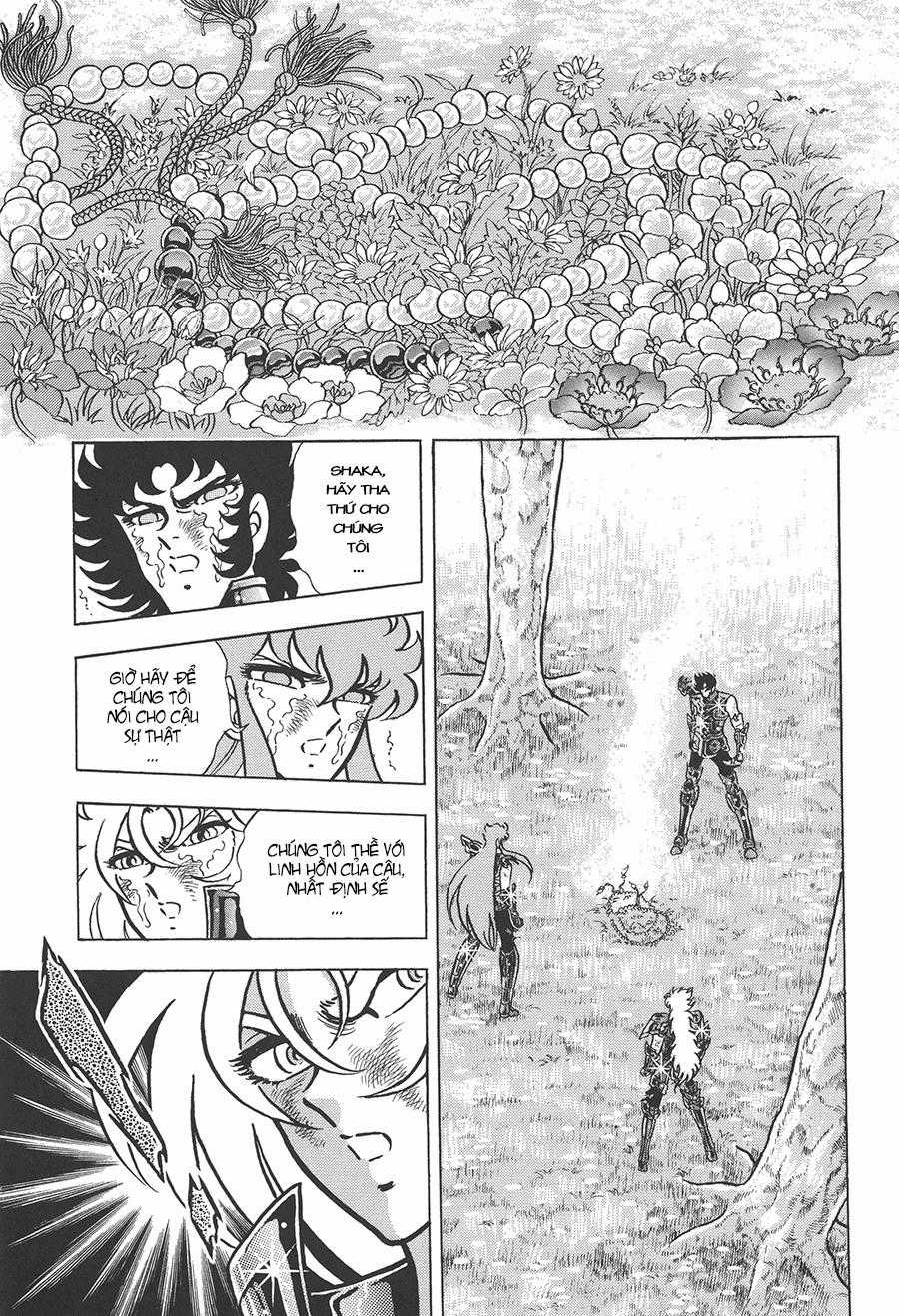 Áo Giáp Vàng - Chapter 78 - Trang 4