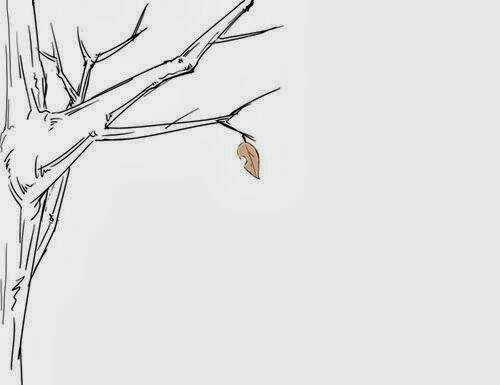 Aph Doujinshi Couples Collection - Chapter 6 - Trang 2